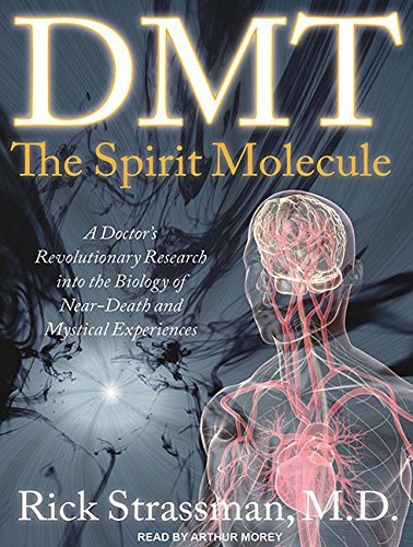 DMT: The Spirit Molecule